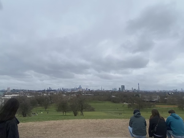 view of city skyline from hill
