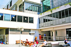 威斯敏斯特大学
