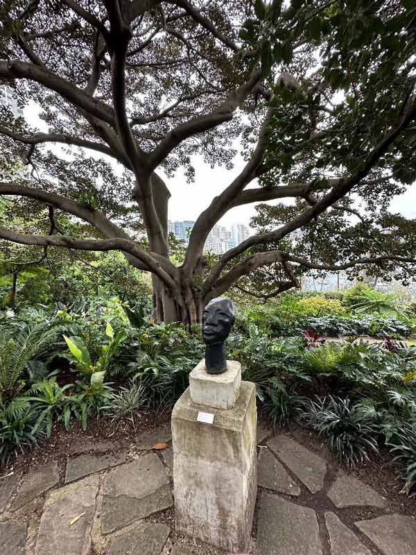 a large tree with a statue of a head in front of it