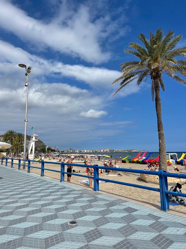 a boardwalk near a beach and palm trees
