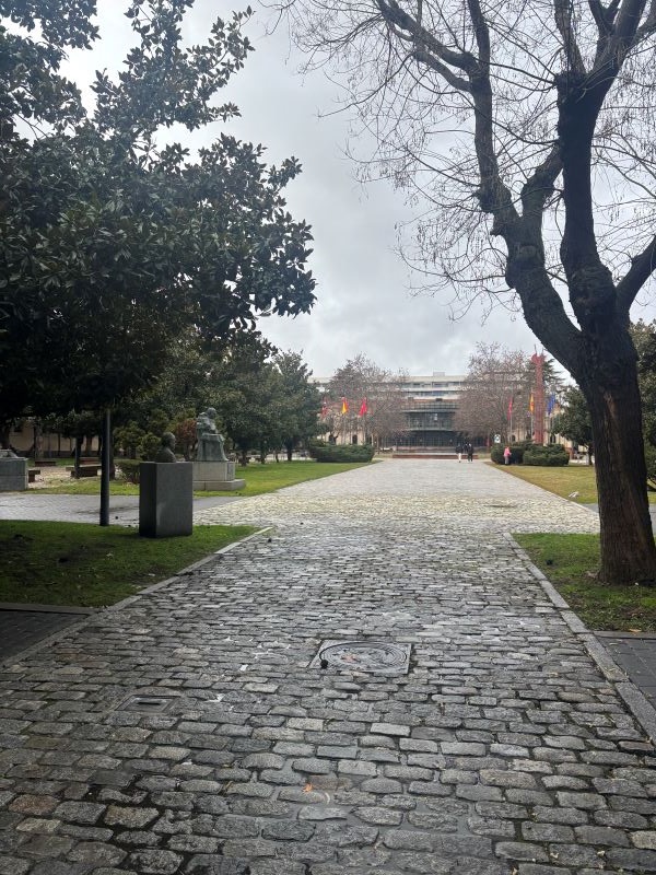 A long cobblestone walkway on a university campus, bordered by trees and statues
