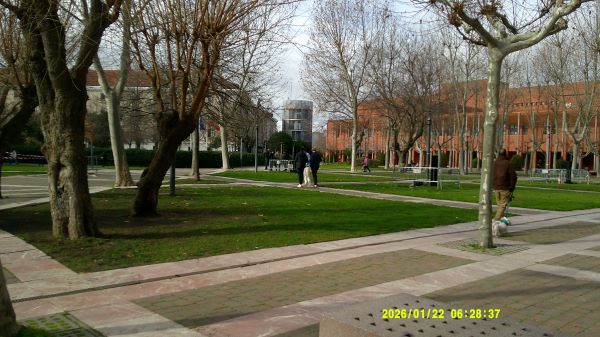 A university campus with several intersecting walkways, trees, and large patches of green grass