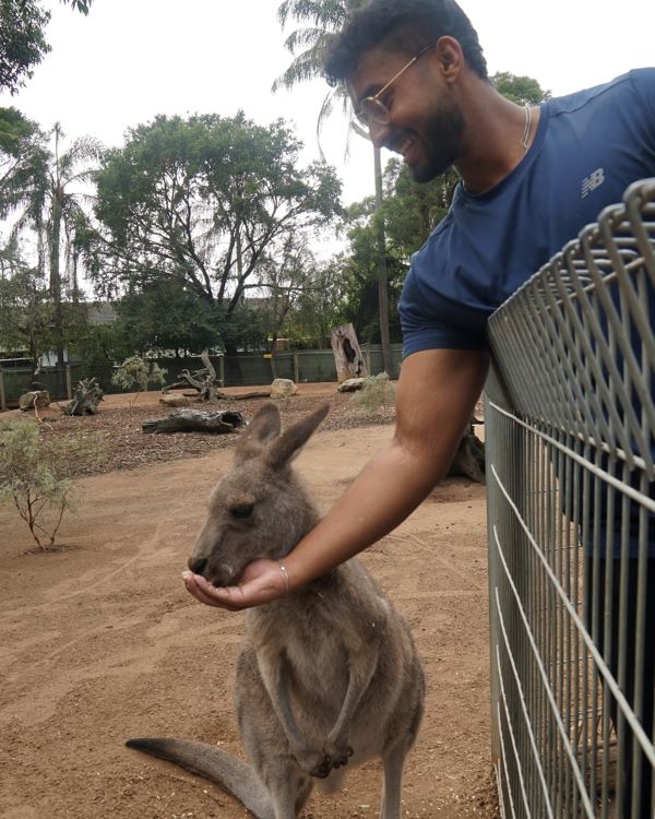 A study abroad student smiling while leaning over a fence and feeding a kangaroo