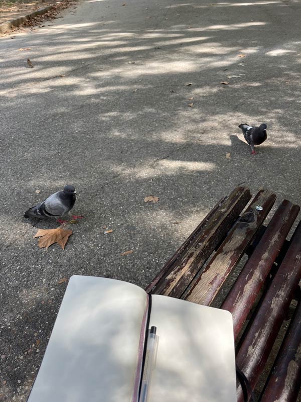 a journal on a park bench