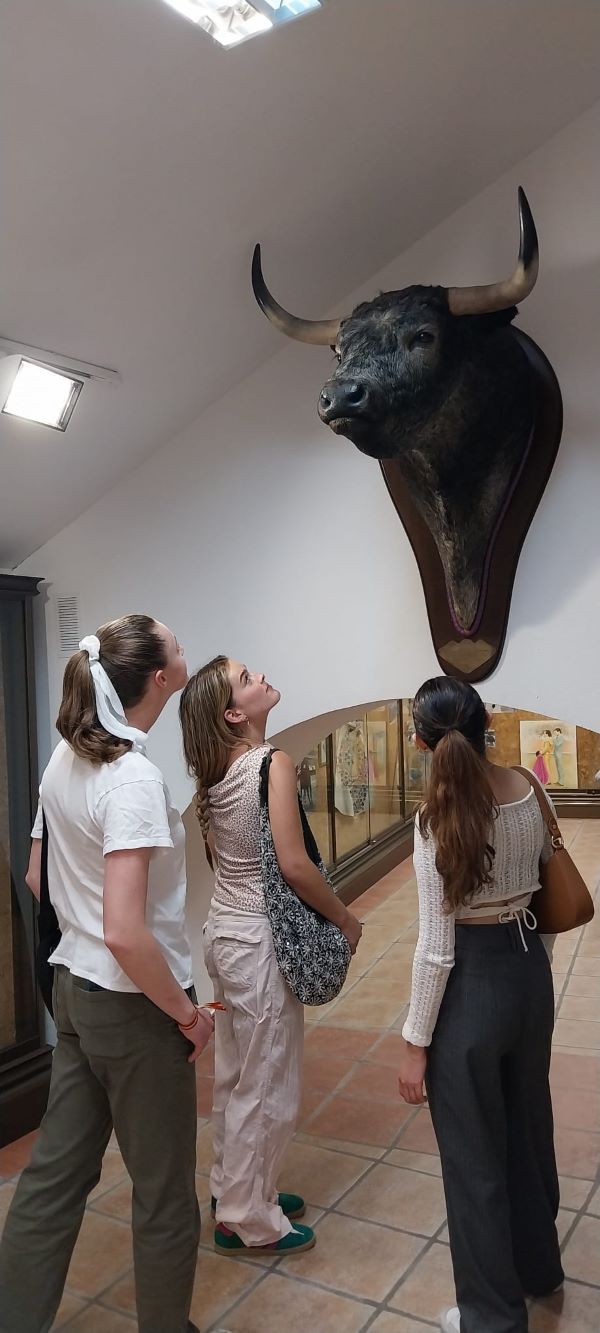 Three study abroad students looking at bullhead mounted on wall