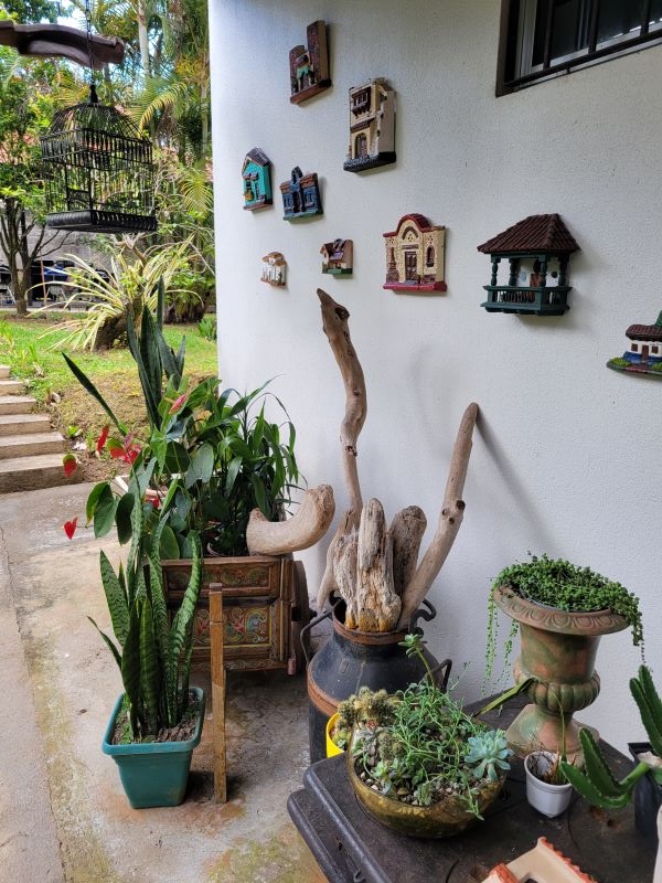 Well decorated outdoor wall with variety of plants on display
