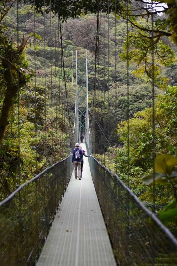People walking across bridge in Monteverde