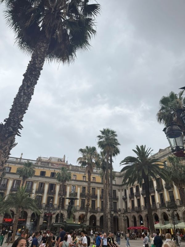 Many people walking around a large outdoor plaza hemmed in by tall stone buildings and filled with palm trees
