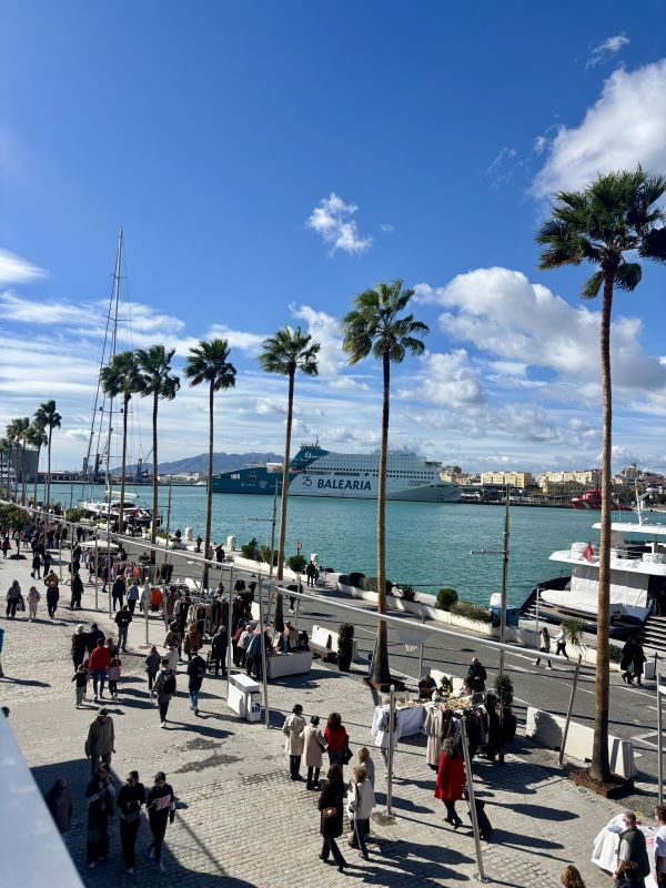 A walkway filled with people walking in both directions, bordered by a body of water with a large boat in the background