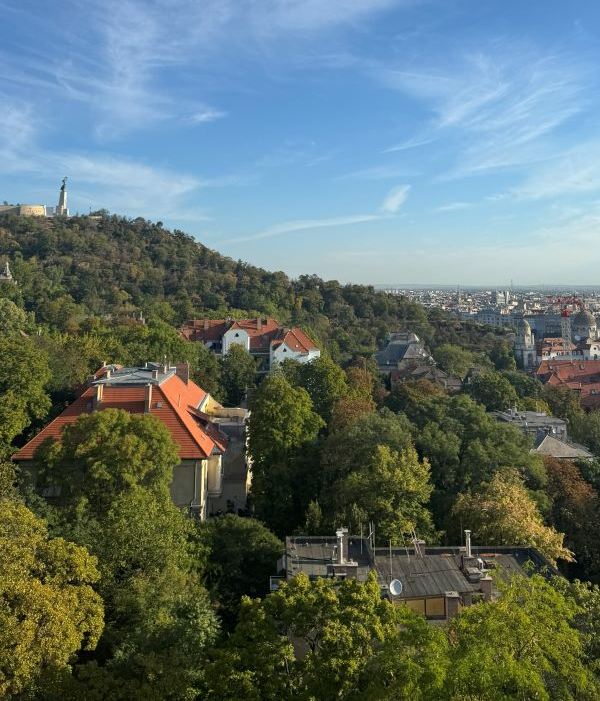A view from above of city buildings hemmed in by leafy green trees under a bright blue sky