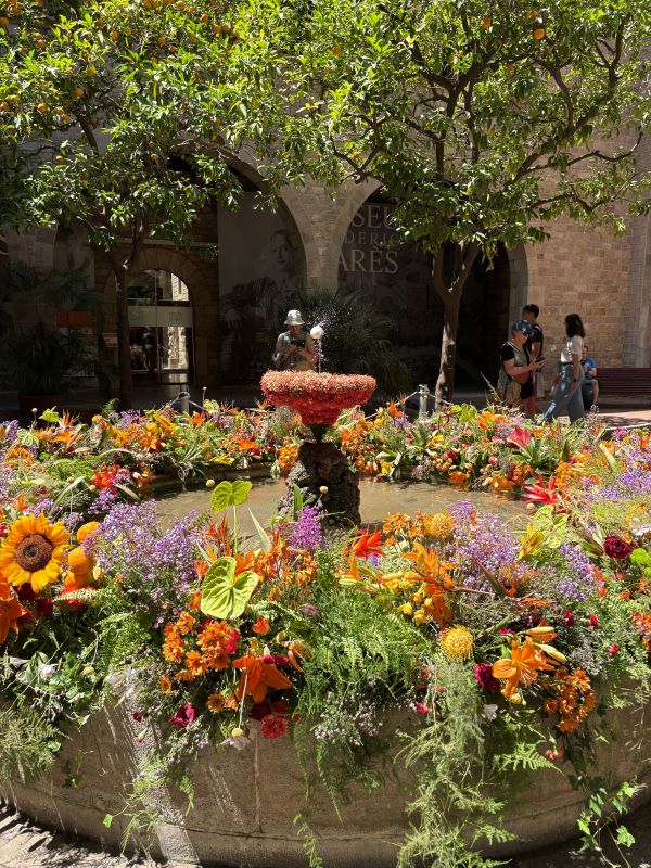 An outdoor garden space featuring a sand-colored wall in the background and a fountain in the foreground covered in bright orange, yellow, purple, and red flowers