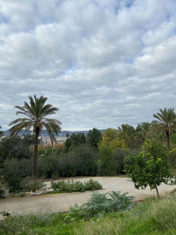 Photo taken from the top of Montjuïc with the fauna and flora at the Botanical Garden