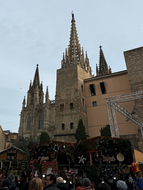 Photo of the Fira de Santa Llúcia Christmas market in front of Barcelona Cathedral