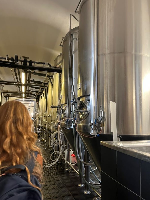 A study abroad student as seen from behind next to several large brewing vats