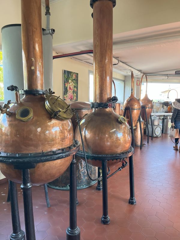 Photo of large containers inside of perfume museum in Grasse 