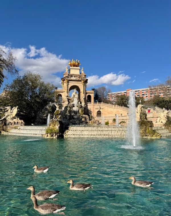 A large ornate fountain with a small pond with ducks swimming in it in front of it