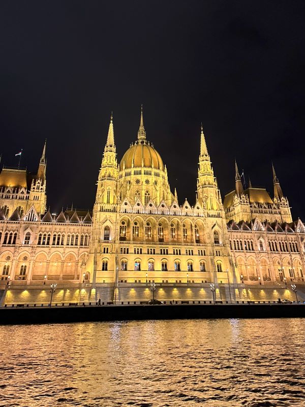 Up close photo of the Hungarian Parliament building at night