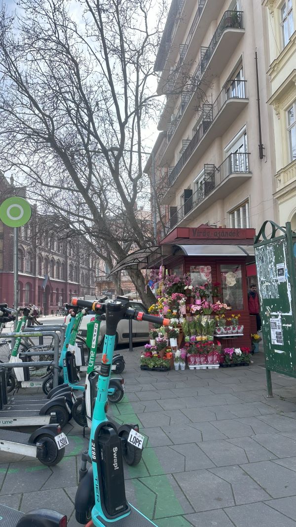 Flower stand next to electric scooter station