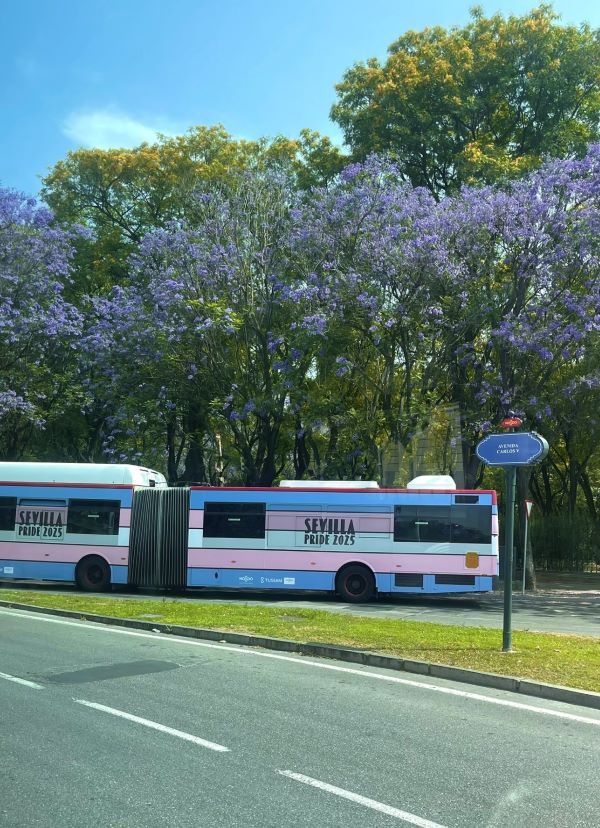 A bus driving down a street wrapped in blue, white, and pink colors and featuring the words