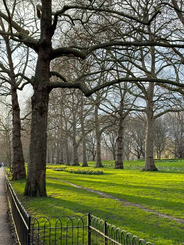 London park with green grass and flowers