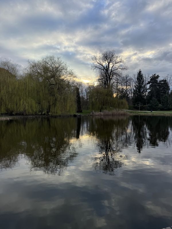 Image of pond and greenery in a park in Prague