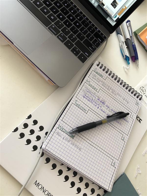 CEA Planner View