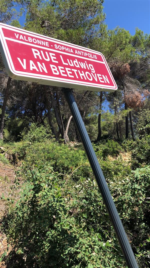 CEA Skema Road Sign