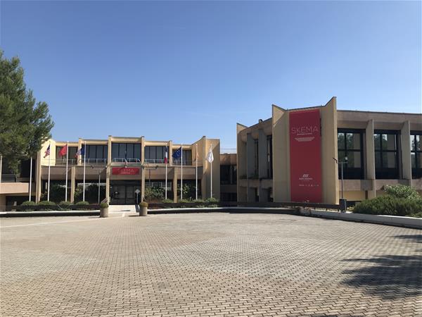 CEA Skema View