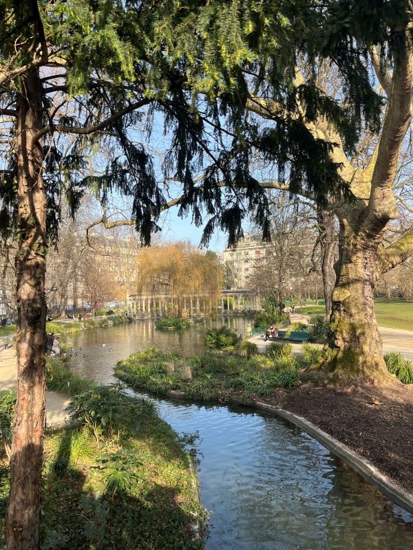 Duck pond in large park