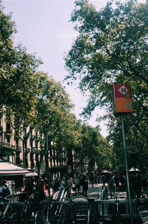 ckingbcn3