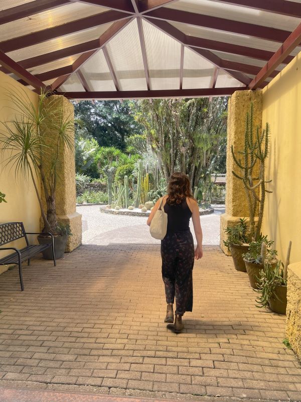 Person walking through the botanical garden
