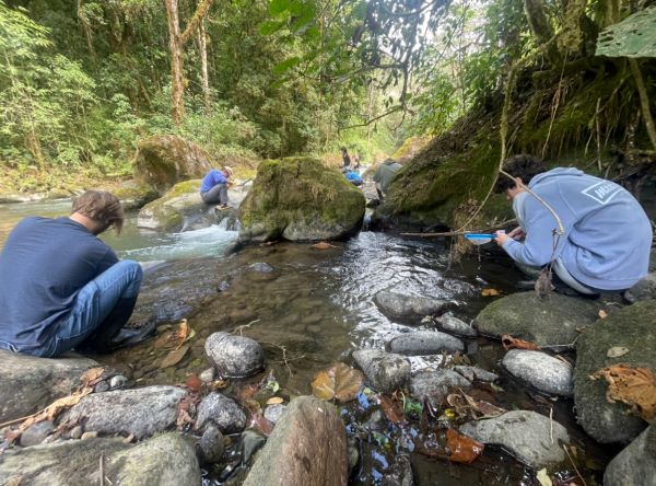 Class of study abroad students collecting bugs and sampling water in a river
