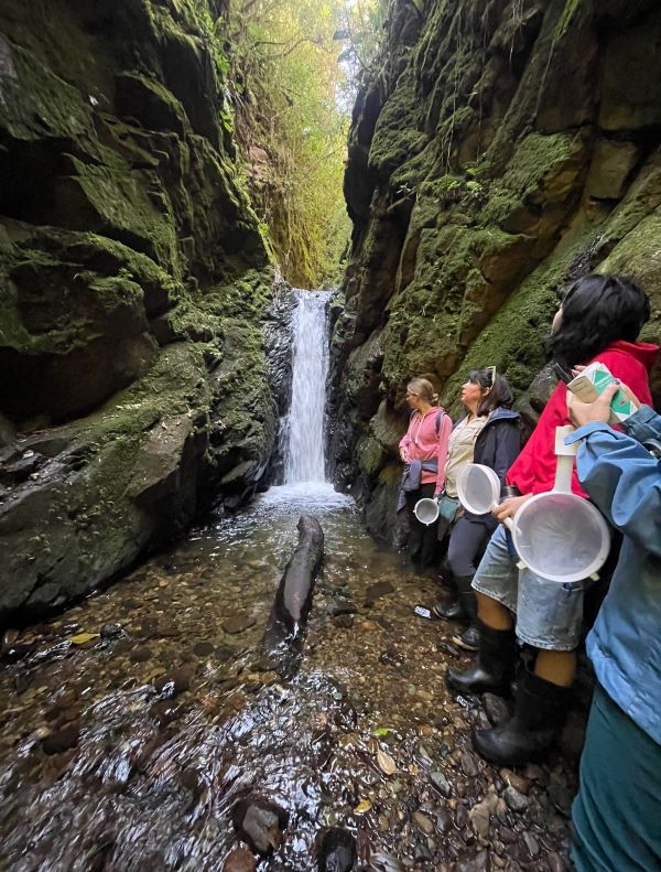 Class of study abroad students conducting research by waterfall