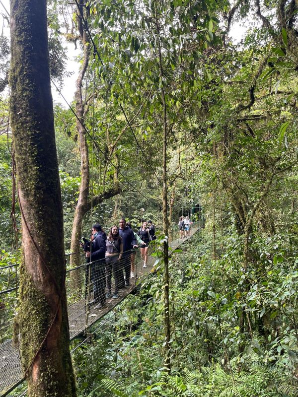 Study abroad students on hanging bridge tour