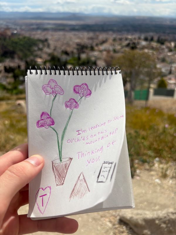 A hand holding a small notebook with writing and drawings of purple flowers on it in front of an expansive green landscape