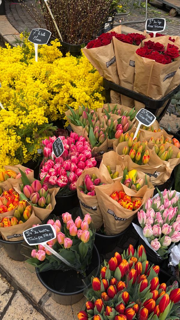 An array of brightly-colored flowers arranged on the ground in pots and brown paper wrappings