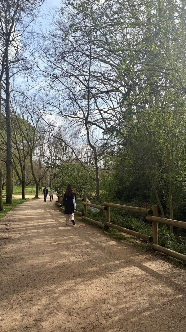 A sandy path in a park lined by trees on either side, with people walking on it away from the viewer