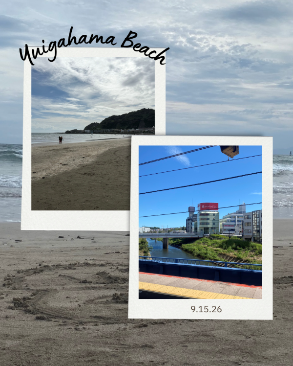 A collage of photos featuring a beach and buildings near a body of water