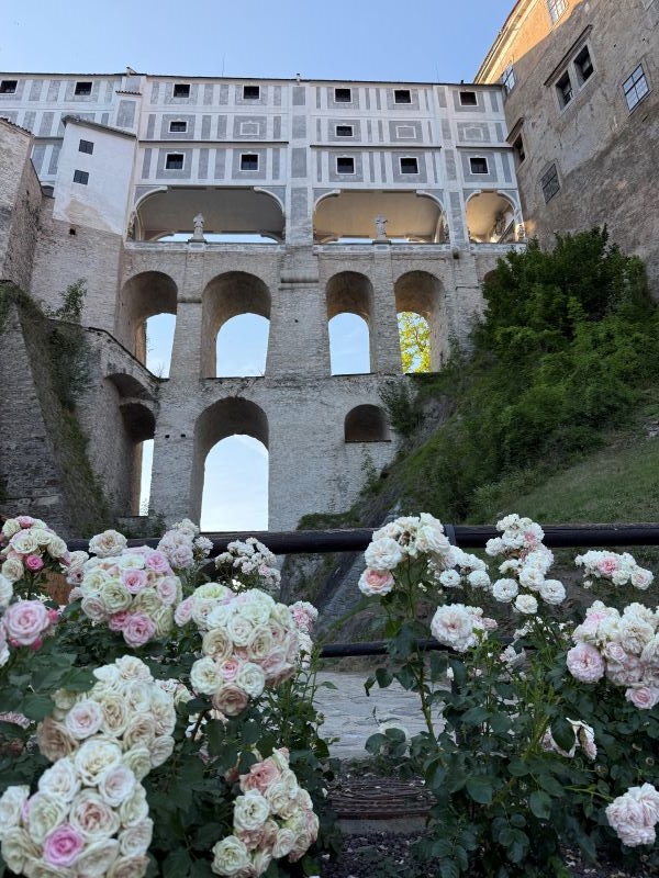 A large stone structure featuring many windows seen above a small body of water with pink and white flowers in the foreground