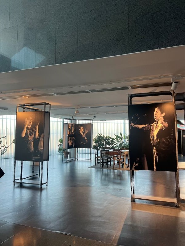 Photography exhibit with photos of dancers dedicated to Flamenco 