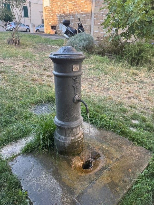 A small outdoor fountain in a patch of grass with small spout releasing clear water toward the bottom