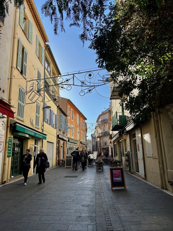 Pedestrian-friendly street with shops