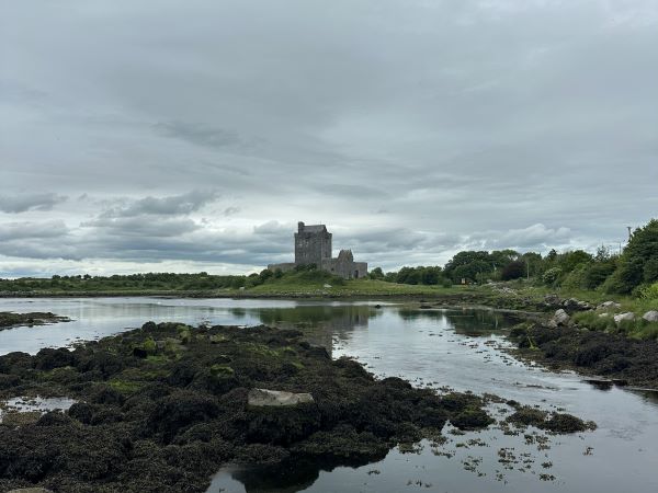 A large body of water in a marshy area with a tall stone building in the background under a cloudy gray sky