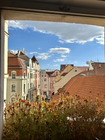 Finding Stability & Adapting to Academics While Studying Abroad in Prague, Czech Republic