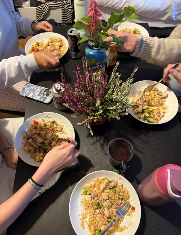 Study abroad students eating homemade chicken fried rice