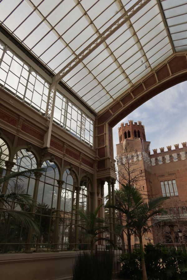 Part of a greenhouse building full of glass windows, as seen from below