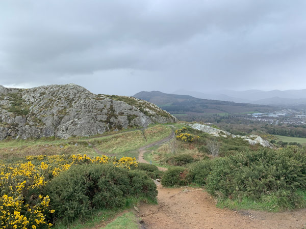 A dirt road leading to a rocky hill with yellow flowers