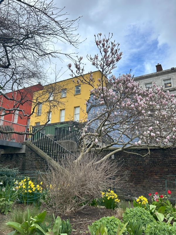 Photo of Dublin castle garden