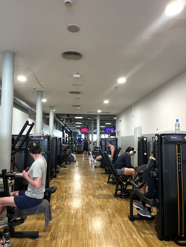 People working out in gym