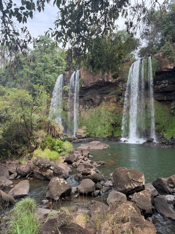 Two small waterfalls surrounded by trees and pouring water into a small body of water encased by rocks